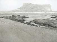 한국화가 이창희, ICC JEJU 갤러리서 개인전