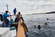 전복, 해삼, 돌돔 새끼 25억원어치 제주바다에 뿌린다