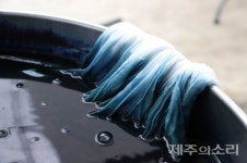 찬란한 제주하늘 '쪽빛'...천연염색으로 '물드련 마씸'
