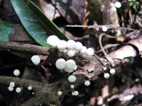 투쟁의 현장과 풍요로운 숲을 누비다