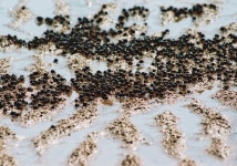 투쟁의 현장과 풍요로운 숲을 누비다