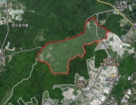 곶자왈-생태자연 1등급에 제주영어교육도시 2단계 사업 논란