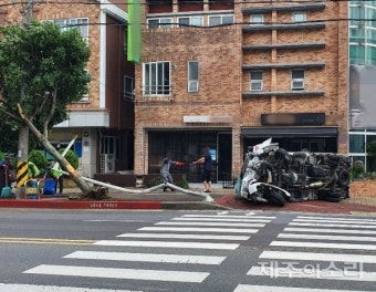 제주 노형동서 차량 가로등 들이받아 운전자 부상