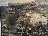 제주도·모슬포 '부(負)의 유산' 너머 '평화의 길'로