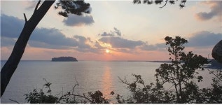 유년의 파도 소리는 안으로만 숨었다