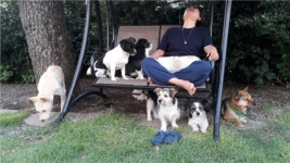 여름날, 나의 반려동물의 하루