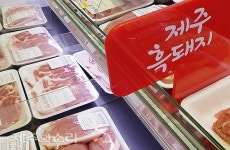 전국 곳곳 너도나도 제주 흑돼지 전문점? 정작 도축 물량은…