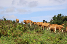 소보다 사람 키우자고 10만평 땅 내줬더니...주민들이 속은 거지