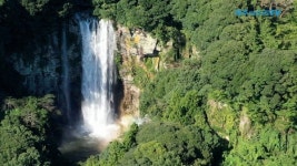 [소리TV] 폭우 쏟아낸 하늘의 위로...제주 엉또폭포 장관