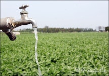 5000원에 지하수 무제한...제주 농업용수 요금 대손질