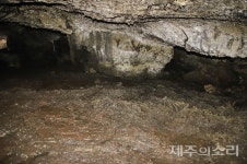 경험 없이 절대 상상할 수 없는 1만년 제주 벵뒤굴의 나이테