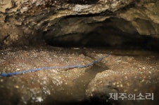 경험 없이 절대 상상할 수 없는 1만년 제주 벵뒤굴의 나이테