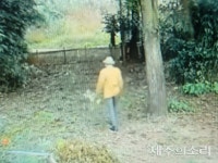 제주 80대 어르신 실종…짧은 흰색머리·노란점퍼·회색바지 차림