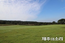 매각 유혹에도 제주 특유 목축경관 지켜가는 장전공동목장