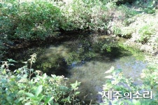 마을목장도 제주농업유산…보전 노력 관심 가져달라