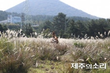 마을목장도 제주농업유산…보전 노력 관심 가져달라