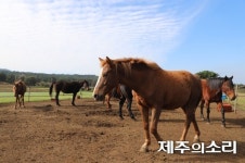 마을목장도 제주농업유산…보전 노력 관심 가져달라