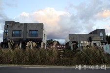 한라산 아래 메밀꽃 피는 이 마을은 6차산업 행복공동체