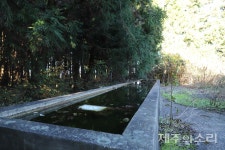 숱한 매각 유혹 버텨낸 제주 납읍목장 단 한 명도 팔자는 사람 없어