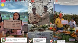 제주시, 라이브커머스 플랫폼 활용 비대면 마케팅 지원