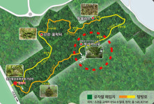 제주의 허파 곶자왈 보존, 지역 브랜딩 필요하다