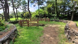 탐라국 고·양·부의 허니문 하우스 지나는 제주올레2코스