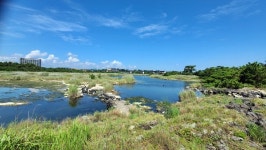 탐라국 고·양·부의 허니문 하우스 지나는 제주올레2코스