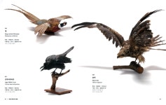 제주도 민속자연사박물관, 소장품 도록 한라산 발간