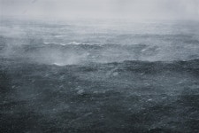 [양동규의 필·필·필] 바람은 바다의 깊은 한숨으로부터