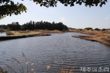 방치된 제주 정의현 핵심 목장 수산평…제2공항 갈등도 악재