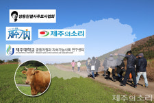 탐나는가치 맵핑 제주 애월읍 고성리목장 탐방 참가자 모집