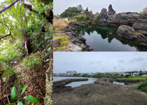 내 안에 네가 있는 사유의 길 제주올레 5코스