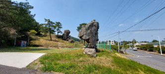 나는 초등학교 1학년때 횡령하려고 했습니다