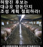 제주 산남·북 대규모 양돈단지 조성 설전…동물권 단체 공약 철회 촉구