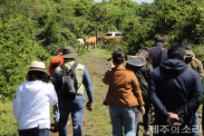대안 없이 팔려나가는 마을공동목장, 활용방안 없는 남은 땅도 위태위태