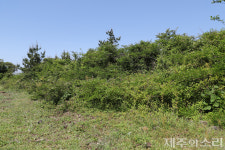 대안 없이 팔려나가는 마을공동목장, 활용방안 없는 남은 땅도 위태위태