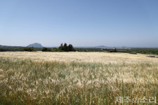 대안 없이 팔려나가는 마을공동목장, 활용방안 없는 남은 땅도 위태위태
