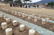 제주동부공설묘지 자연장지 전환 공사 중단 장묘대란 우려