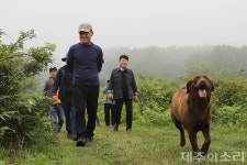 제주 목축문화 상징 잣성 남은 아라공동목장…활용방안 없어 늘 매각 위기