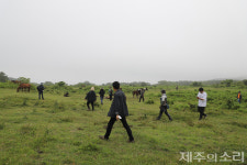 제주 목축문화 상징 잣성 남은 아라공동목장…활용방안 없어 늘 매각 위기