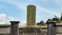 형극, 청빈으로 열리는 제주올레 11코스