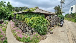 돌빛으로 물길 빚는 제주올레 15-B코스