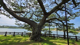 탐라국의 길목 제주올레 16코스