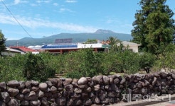 은은한 녹낭향 맴도는 매력적인 곳! 건강한 생태마을 꿈꾸는 제주 도순마을