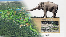 퇴짜 맞은 사파리-분리 매각 관광지...제주 공유지 난개발 운명은?