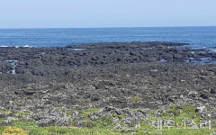 개맛물-거문코지와 함께한 태흥3리, 마을 돌담에 깃든 배려와 미덕