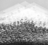 사진공감 회원 사진전 12인의 향기