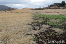 세금-매각 유혹, 이중고에 처한 제주 삼리공동목장 위기는 한순간