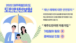 뺑소니에서 개물림까지 제주도민 안전공제보험 모르면 손해