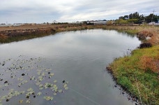 추사가 머문 곳, 이웃 마을 손잡고 옛 대정현 위상 꿈꾸는 안성리